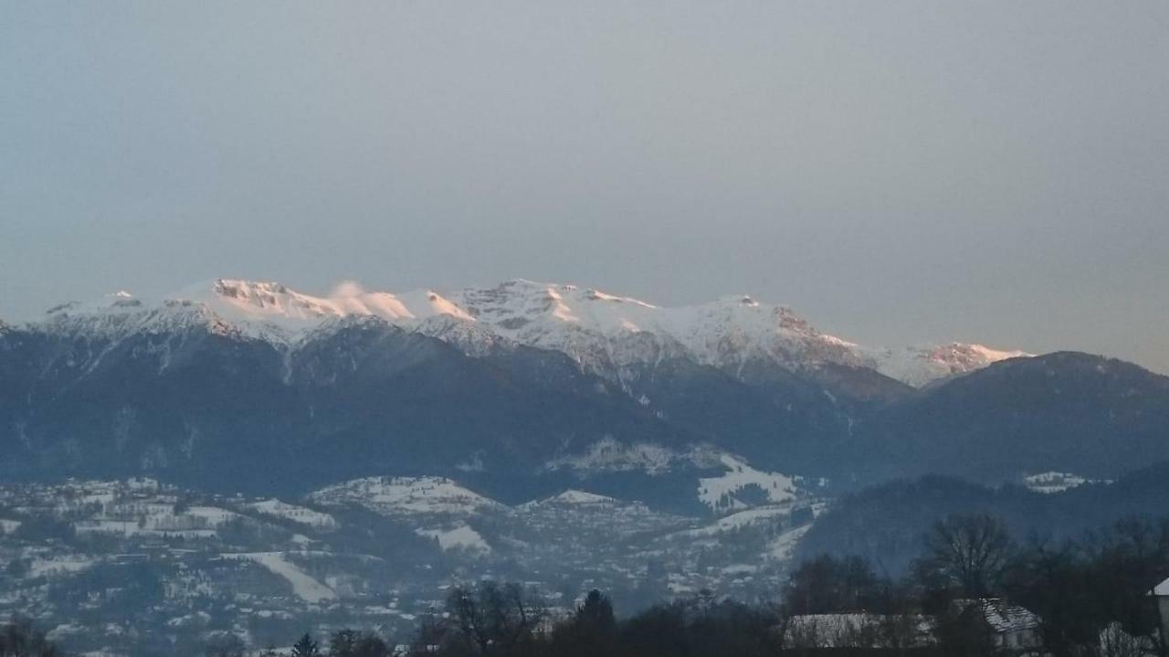 Pensiunea Bella Predelut Bran  Extérieur photo